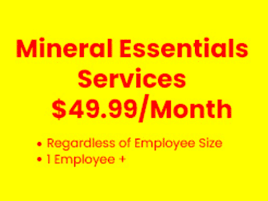 A yellow background with red text that says mineral essentials services $ 4 9. 9 9 / month, regardless of employee size, 1 employee